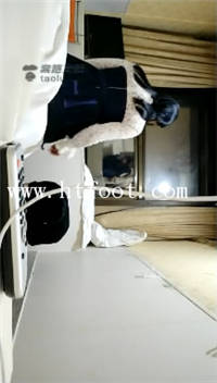 rbizjae34d0.jpg