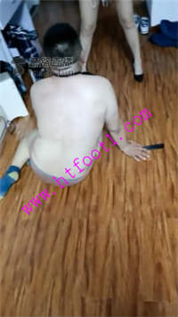 v0x5pr451si.jpg