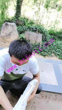 zam02ju3ebi.jpg