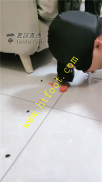 1y3hpxyfiga.jpg