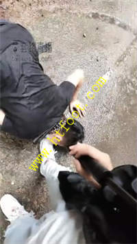 5xffyfjlvh0.jpg