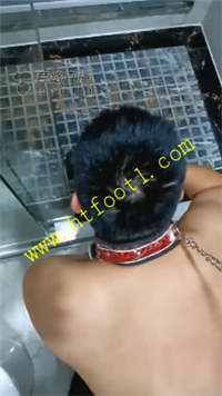 wjxfp344jt4.jpg