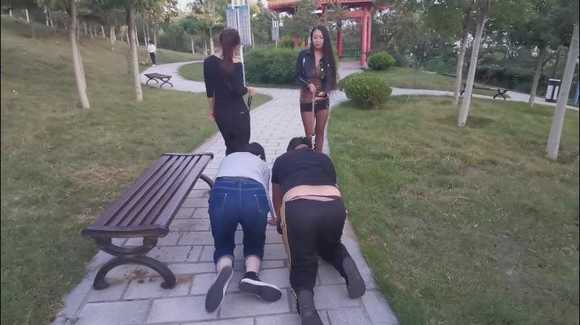 ubizfrb3bdc.jpg