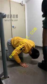 ggicl4vm0ds.jpg