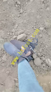 iw5eidldist.jpg
