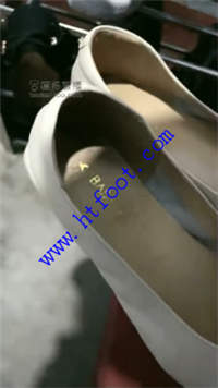 iac2papau1q.jpg