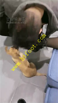 qrjtfbbejfm.jpg