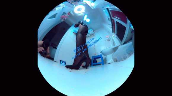 p4cq54xxruh.jpg