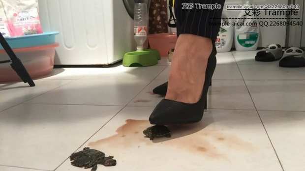 0vgijcebhin.jpg