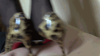 wxoucqnxs4g.gif