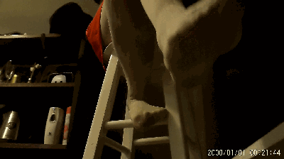 mhv4jwf2dvj.gif