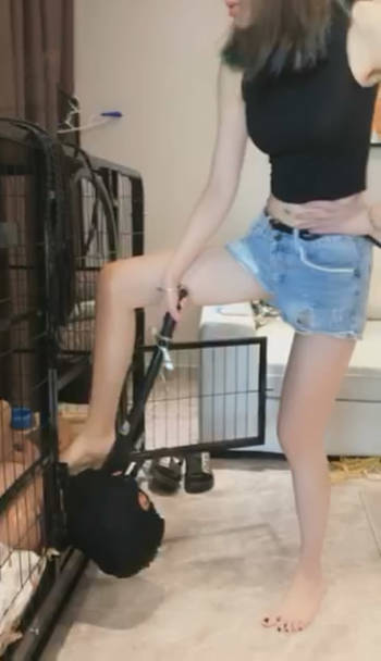 1n0tsbjrjym.jpg