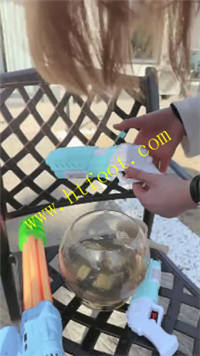 q20wlredn5e.jpg