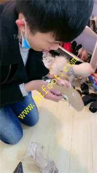 qqyasttqvsl.jpg
