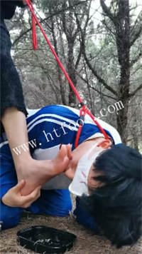 wig1i44ol1l.jpg
