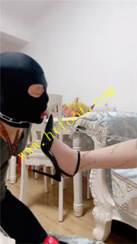 yhc32lfalfm.jpg