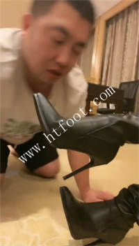 43z2btgmdho.jpg