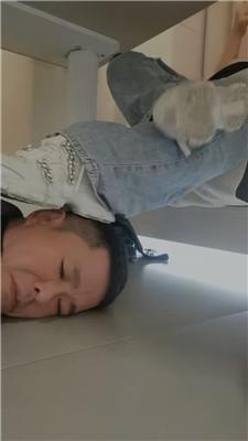 gvux3o4hwnz.jpg