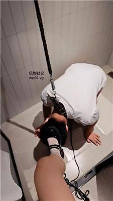 gckot0jrfay.jpg