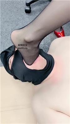 zhsf0plr0wj.jpg