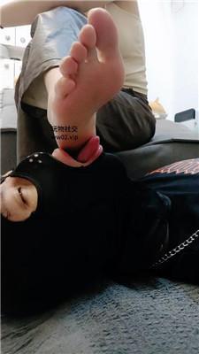 esib3fly000.jpg