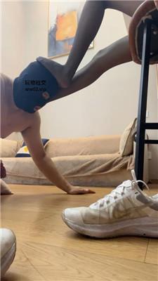ml0o3l250pl.jpg