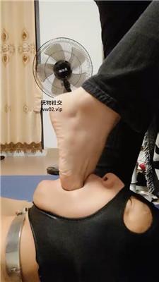 jxlrmxrsmpk.jpg