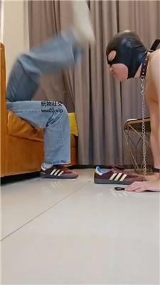 ugkttmv15ai.jpg