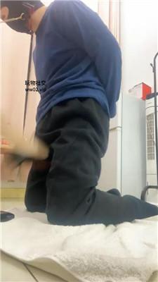 pwsirwhbwxx.jpg