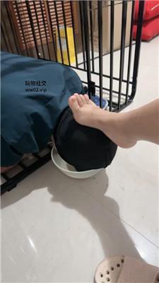 rp4xycpo1u0.jpg