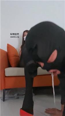 5z0dgfkpndj.jpg