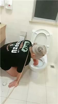 54icg0qqxf1.jpg