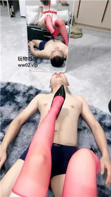 w03zidstdse.jpg