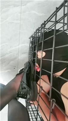 2wmkqzkspue.jpg