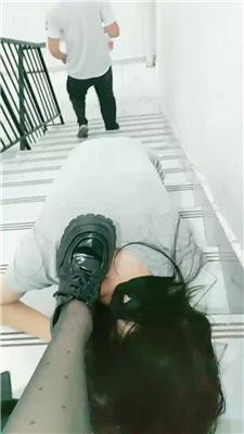 u5hqtaf5jqj.jpg