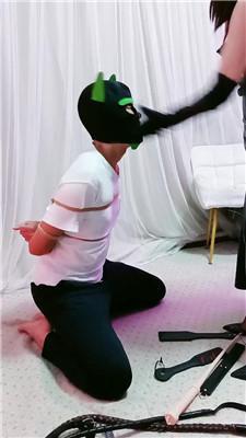 5phcphqxben.jpg