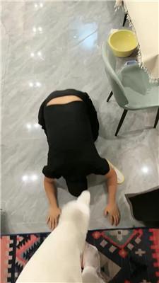 aa00qi4g0at.jpg