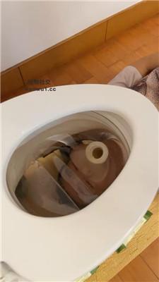 dlo33qox0oa.jpg