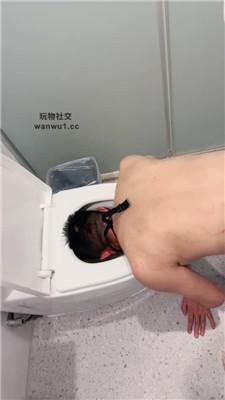 yknal3bchoa.jpg
