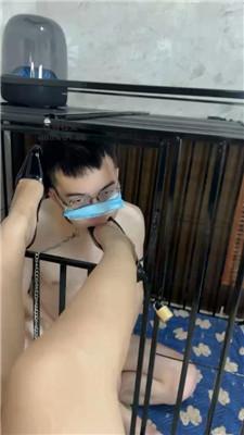 g515t3zpmz4.jpg