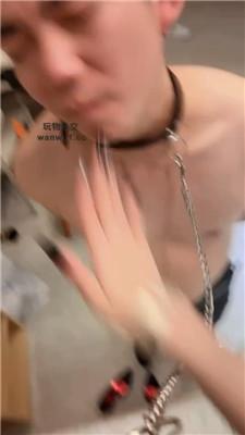 v0p1pjqn0wx.jpg