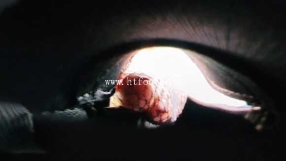 084606ugze8govgewoqre3.jpg