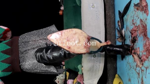 131100k29fm9ffthpyffmj.jpg