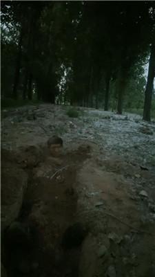 2yz22smdzje.jpg