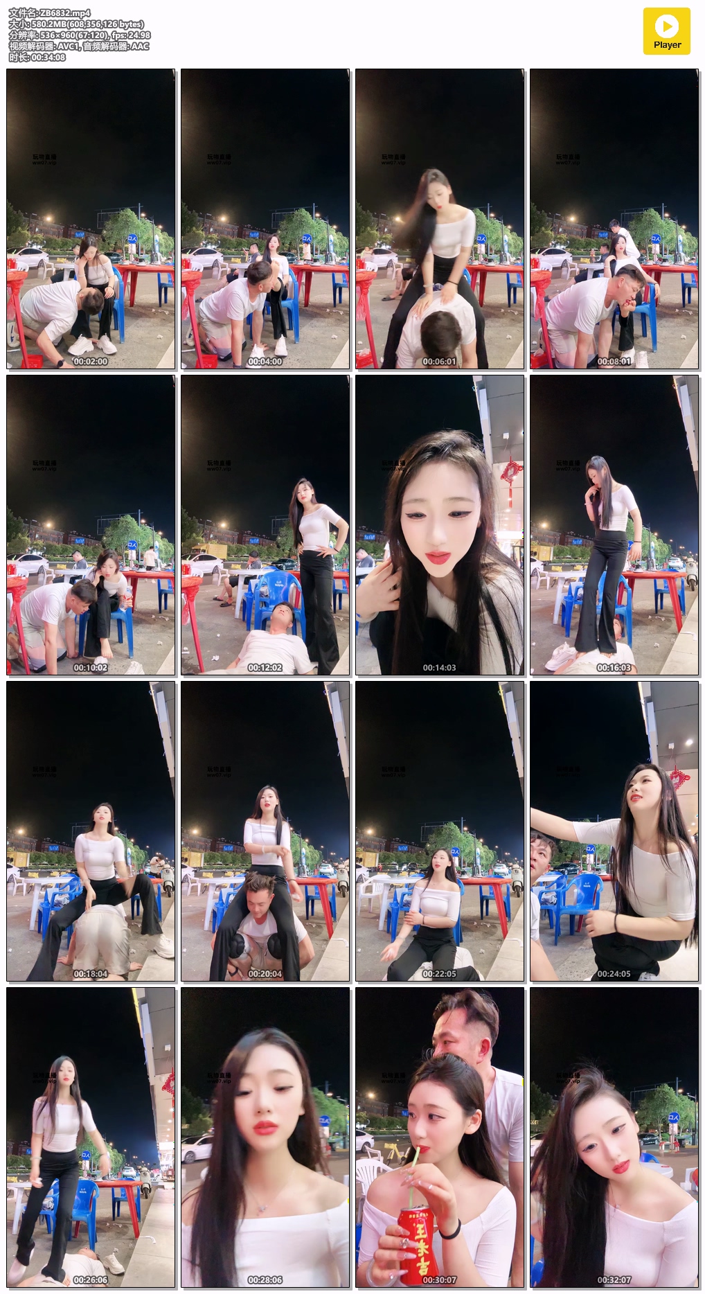 ZB6832.mp4.jpg