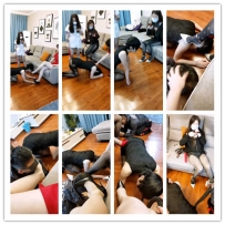 不知火舞 群S戏狗