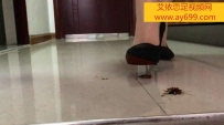 865 婧児小主S053 CR肉丝高跟踩杀 变成蟋蟀的人们！ 我要把你们一个一个都踩碎哈哈哈