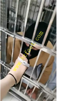 TL25808 乐爷】打怕了伺候主人88分钟