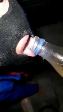 TL5510 晓晓主子 刺激 户外调学生狗