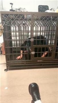 【调教视频】【喵酱紫】磕头求主人白袜皮鞋虐 JS241011-20